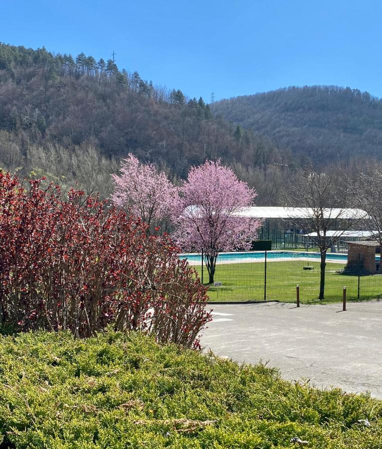 Hotel Solana Del Ter Ripoll Exterior photo